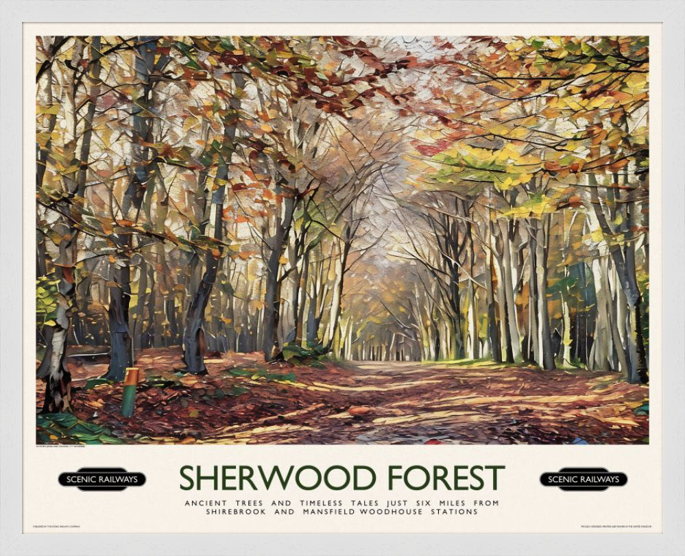 Sherwood Forest